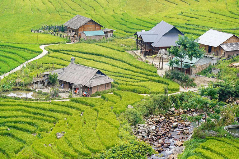 Depuis Hanoi : 3 jours de visite de Sapa, Fansipan, Ninh Binh avec repasCircuit standard : 3 jours à Sapa, Fansipan et Ninh Binh