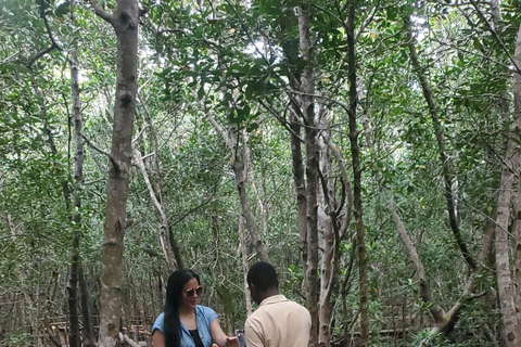 Zanzibar: Jozani Forest & Salaam Cave + Pickup & Entry fees Private Group: with Hotel Pickup from ALL HOTELS in Zanzibar