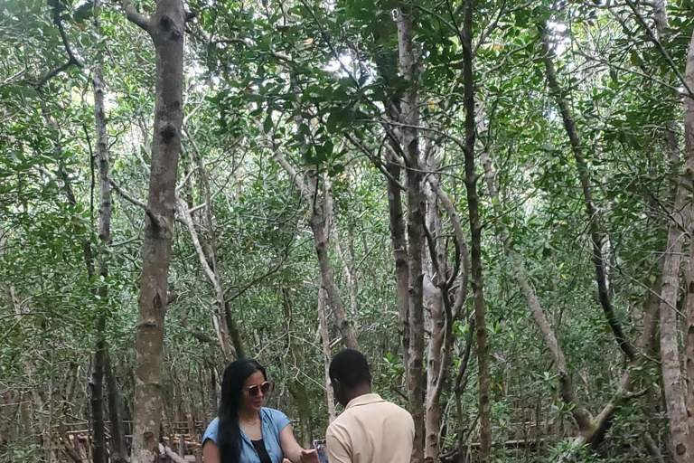 Zanzibar: Jozani Forest & Salaam Cave + Pickup & Entry fees Private Group: with Hotel Pickup from ALL HOTELS in Zanzibar