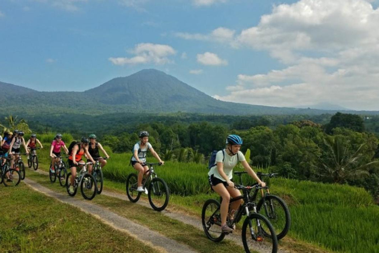 Jatiluwih: Senderismo, Ciclismo y Clase de Cocina en JatiluwihSenderismo en Jatiluwih Todo incluido