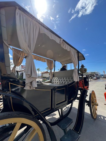 Visit City tour on electric horse wagon. in Ensenada