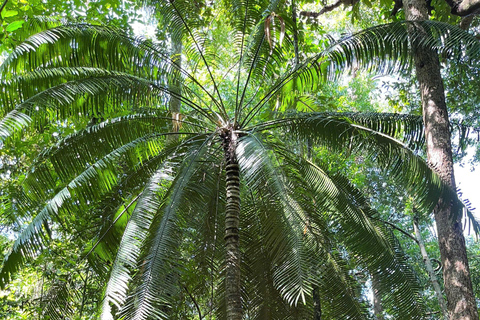 From Ho Chi Minh: Cat Tien National Park 2-Day Tour