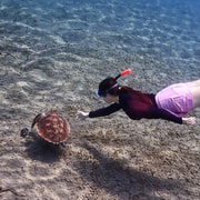 Amed Bali Snorkeling: Explore 3 Spots by Traditional Jukung