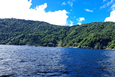 Snorkel et BBQ sur la côte