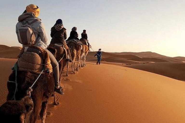 Zagora: escursione di 2 giorni nel deserto da MarrakechTour privato