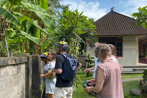 Ubud: Downhill-cykeltur med risfält, vulkan och måltidPrivat grupp