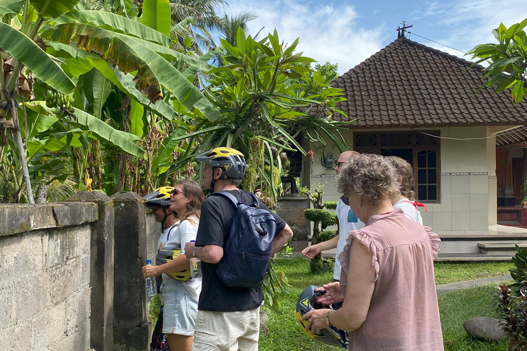 Ubud: Downhill-cykeltur med risfält, vulkan och måltidPrivat grupp