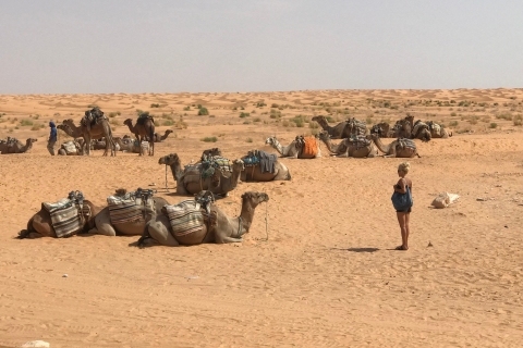 Tagesausflug in die Wüste nach Ksar Ghilane von Djerba oder Zarzis