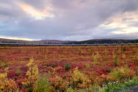 Visite d&#039;une jounée du cercle arctique