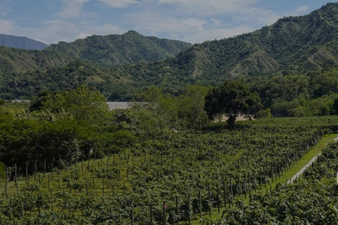 Medellin: Wine Tour in Antioquia, Flavors and unforgettable moments