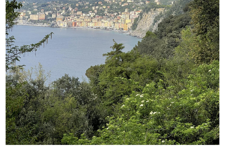 Tour of Genoa and the Ligurian Riviera: From Genoa to Portofino