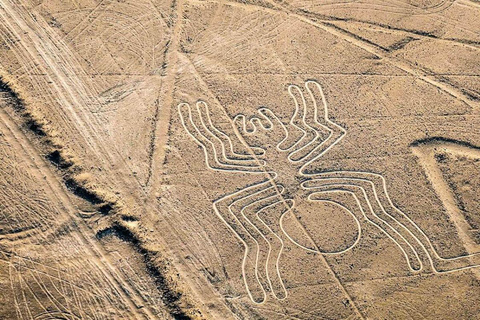 Cusco Inolvidable 9D / 8N