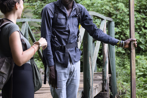 Tanzania: 8-Day Road Trip to Kilimanjaro, Lushoto & More