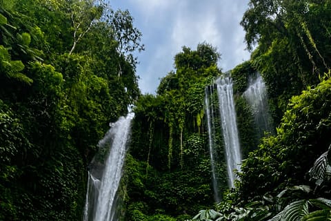 Bali: Sekumpul Waterfall With Waterslide & Rice Terrace Trek