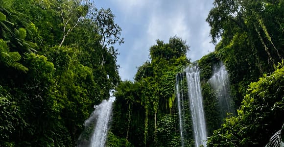 Bali: Sekumpul Waterfall With Waterslide & Rice Terrace Trek