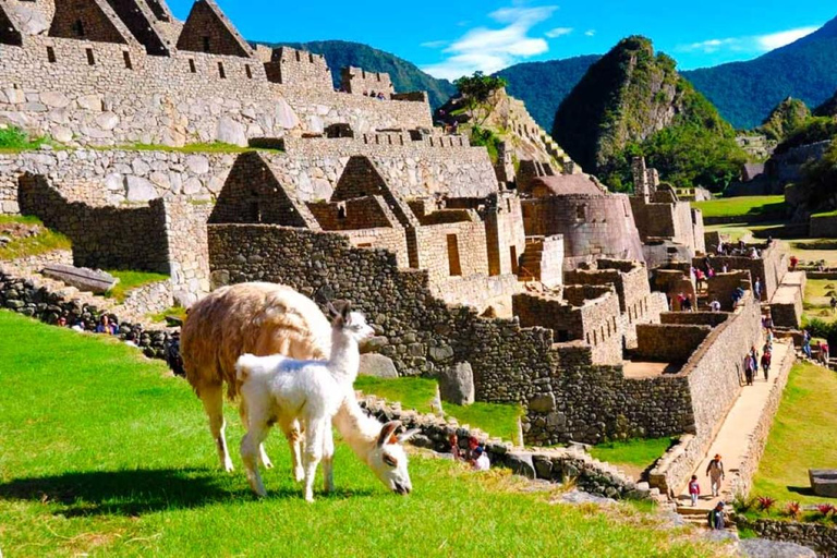 Machupicchu 6 dagar 5 nätter + hotell 4★★★★