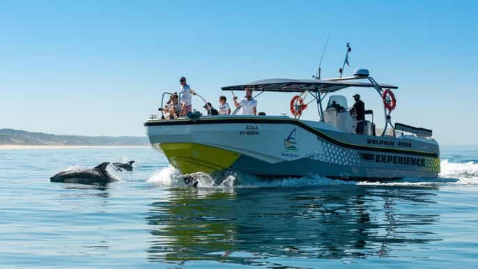 Setúbal: Tour en barco para avistar delfines