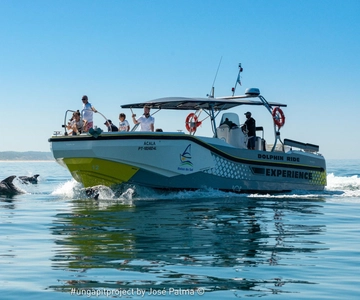 Setúbal: Tour en barco para avistar delfines