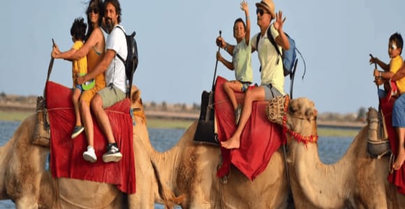 Djerba: Discover the Lagoon and the Countryside by Camel, Horse, or Carriage