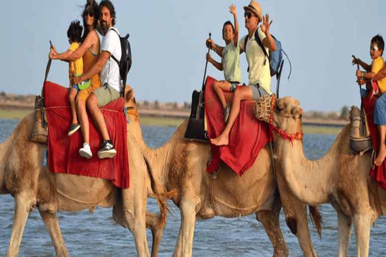 Djerba: Discover the Lagoon and the Countryside by Camel, Horse, or Carriage