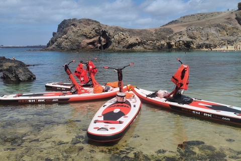 Lanzarote: Electric Paddle Surf and Snorkel Excursion at Papagayo Beach Lanzarote, Individual Electric Paddle Surf and Snorkel Excursion in Papagayo