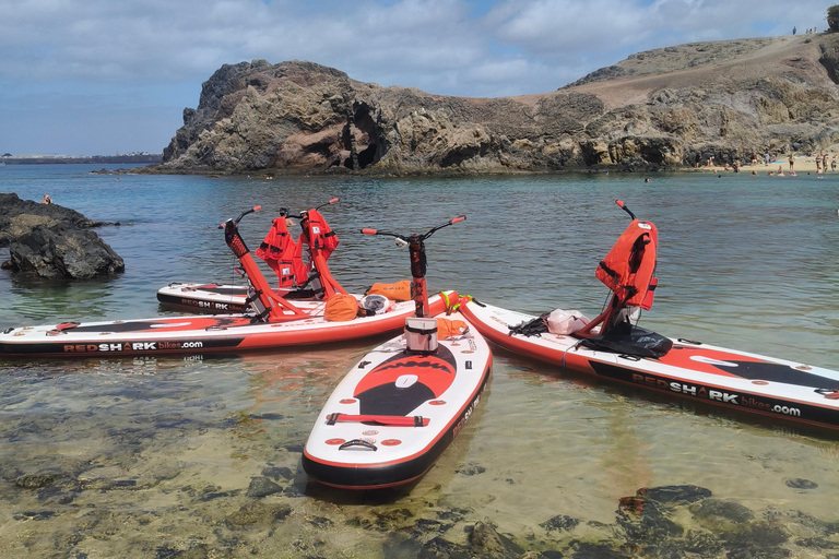 Lanzarote: Electric Paddle Surf and Snorkel Excursion at Papagayo Beach Lanzarote, Individual Electric Paddle Surf and Snorkel Excursion in Papagayo