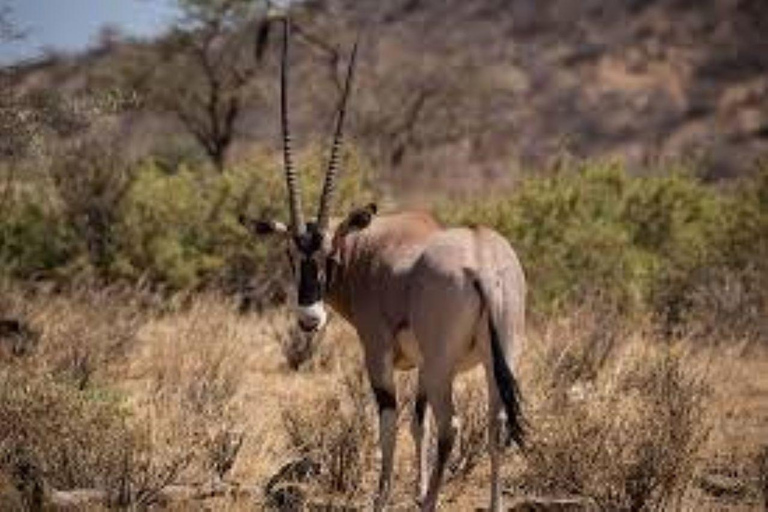 3 Days Private tour to Buffalo Springs National Reserve
