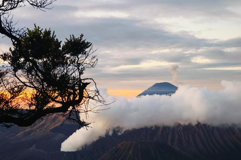 Da Yogyakarta: Tour 3D del Monte Bromo e della Cascata Tumpak Sewu