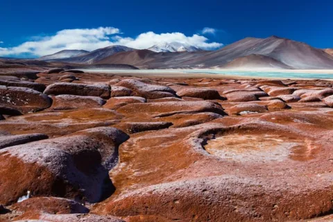 Circuito Triplo: Piedras Rojas, Lagunas Altiplánicas e Laguna Chaxa.