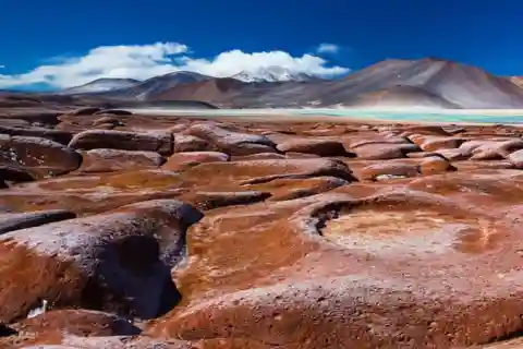 Triple Tour: Piedras Rojas, Altiplanic Lagoons and Chaxa Lagoon.