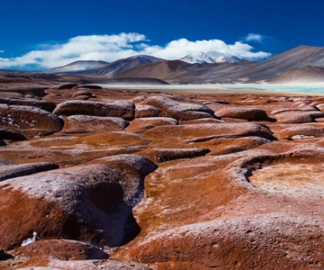 Triple Tour: Piedras Rojas, Altiplanic Lagoons and Chaxa Lagoon.