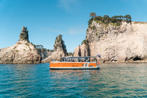 Wycieczka po wybrzeżu i jaskiniach Cathedral Cove