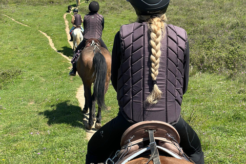 2-Day Gjirokastra & Durres: Horse Riding & Culture Tour Trip