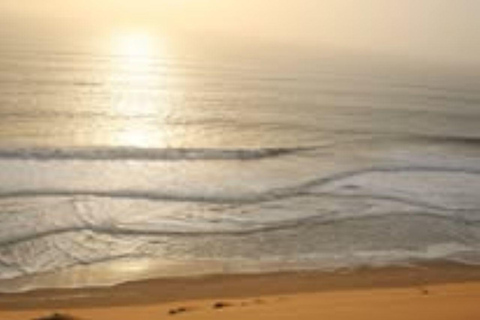Walvis Bay: Sandwich Harbour & Catamaran Combo