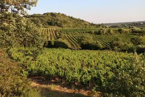 Wine tasting in the heart of nature with the winemakers