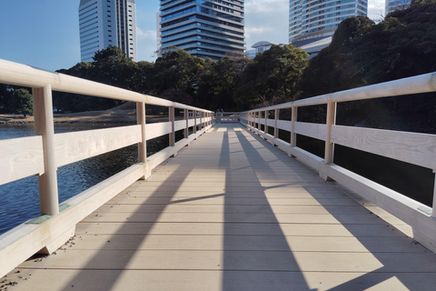 Tokio: Kiyosumi, Hama-Rikyu en Kyu-Yasuda Tuin Tour