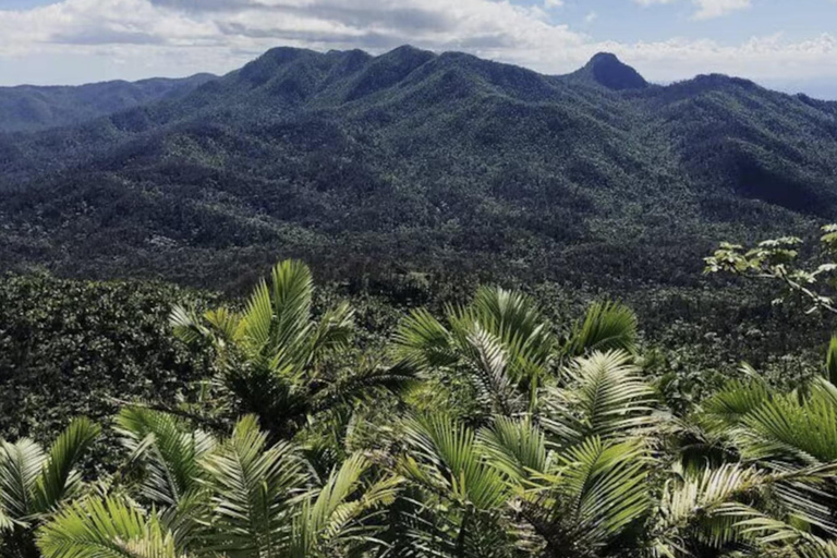 Puerto Rico : Visite guidée de la forêt tropicale d'El Yunque avec transferts