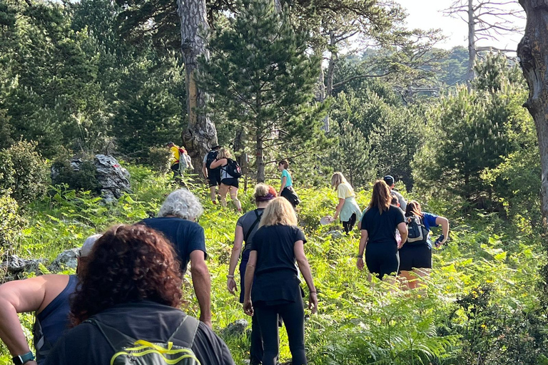 De Tirana: Excursão de 8 dias à Albânia com alojamento