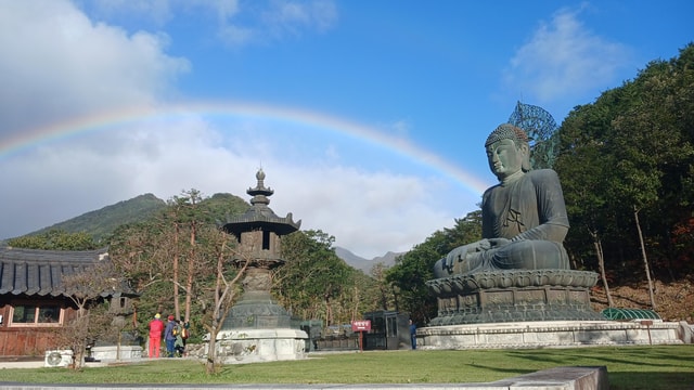 Seoul: Mt.Seorak and Cherry Blossom Lake 1 day trip