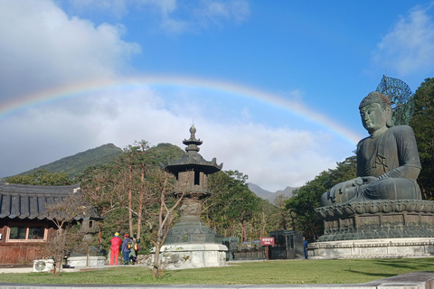 Seúl: Excursión de un día por la floración de los cerezos de primavera en CoreaGwangyangMaehwa y Jeonju desde la salida 8 de la calle Hongdae
