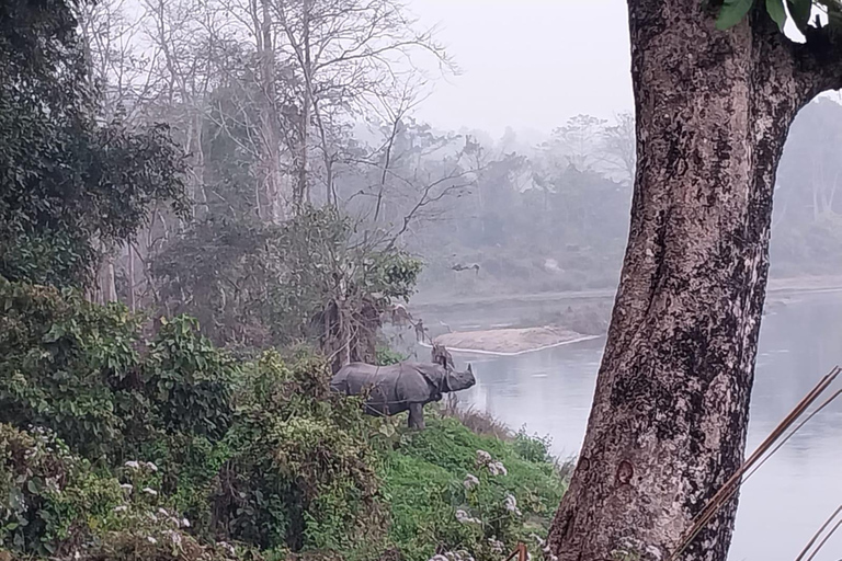 Chitwan: Jungle Tower Night Stay with Dinner