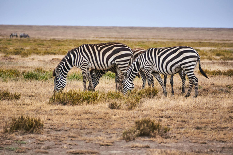 Nairobi: National Park Early Morning or Afternoon Tour