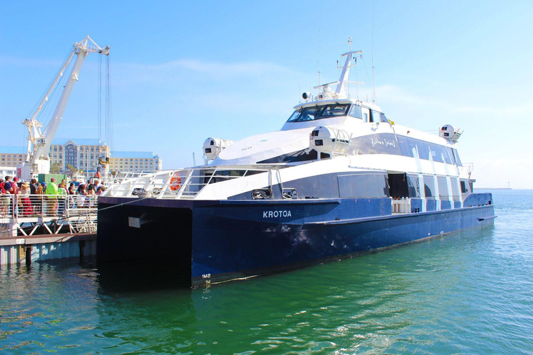 Half Day Robben Island including Tickets and Transfers Tour