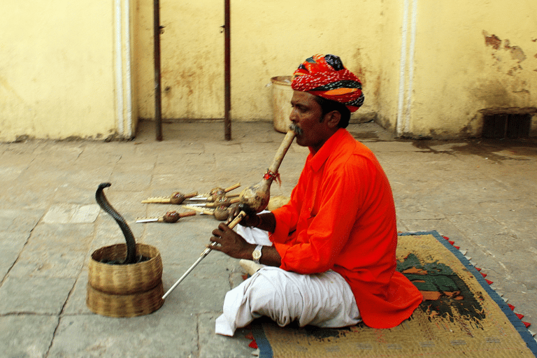 Visite privée d&#039;une jounée à Jaipur : Découverte en Tuk-Tuk