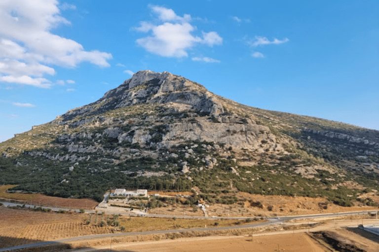 Visite privée de luxe : Sites antiques de Némée et dégustation de vin