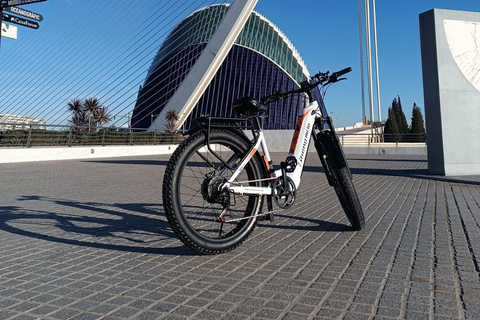 Valencia: The Albufera Lake Self-Guided E-Bike Tour Valencia: The city and Albufera Lake self-guided e-bike tour