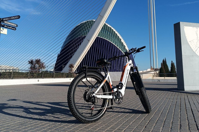 Valencia: Die selbstgeführte E-Bike-Tour am Albufera-See