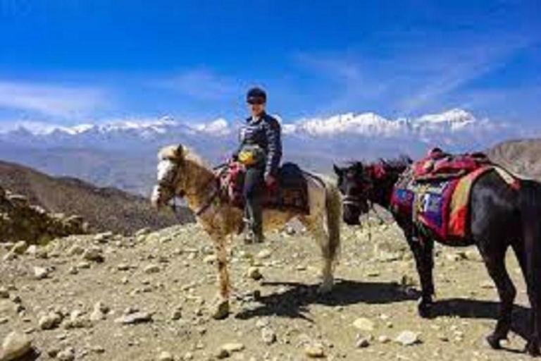 En selle pour une aventure équestre d'une heure à Pokhara