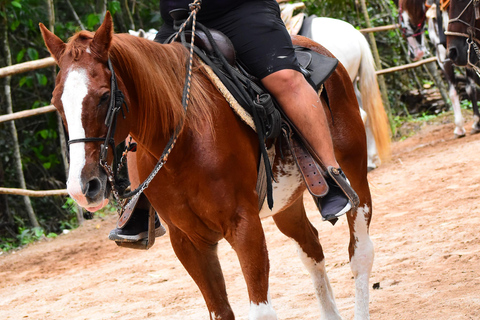 ATVS SINGLE & Horseback Riding Cancun & Playa del Carmen ATVS, Ziplines & Horseback Riding Cancun & Playa del Carmen