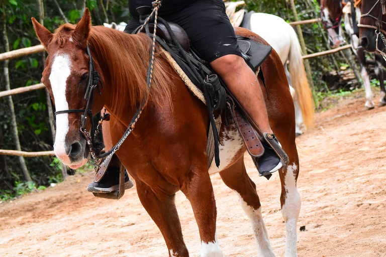 ATVS SINGLE & Horseback Riding Cancun & Playa del Carmen ATVS, Ziplines & Horseback Riding Cancun & Playa del Carmen